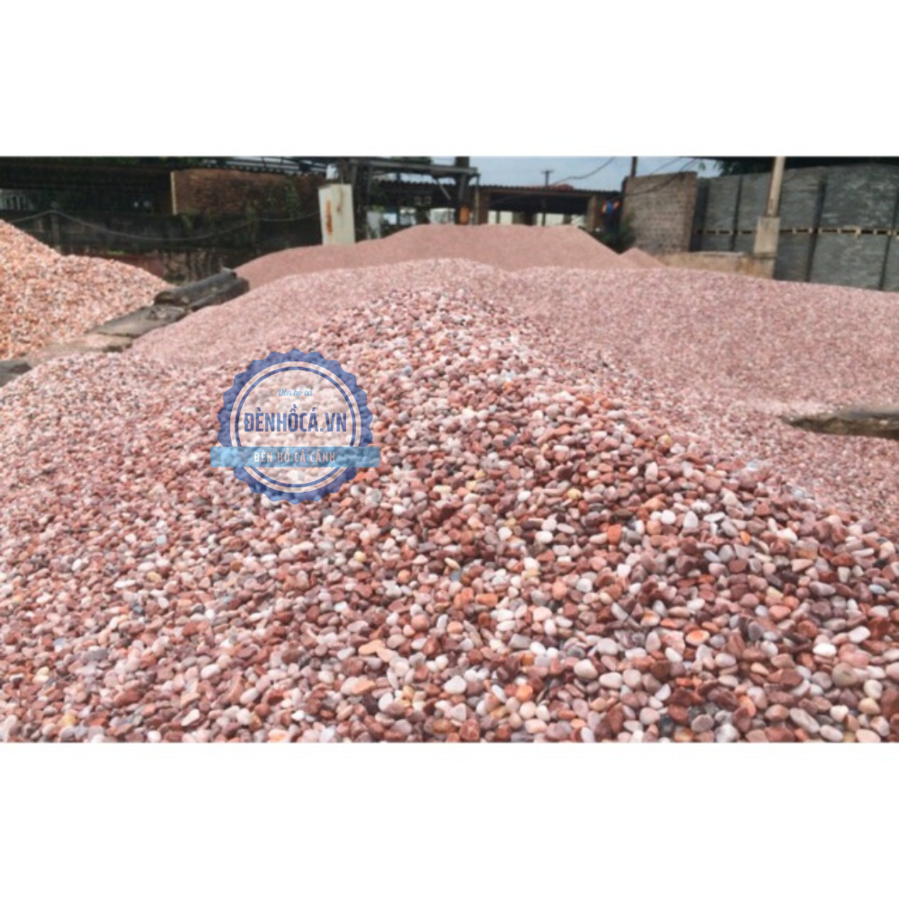 Sỏi trang trí hồ cá mini