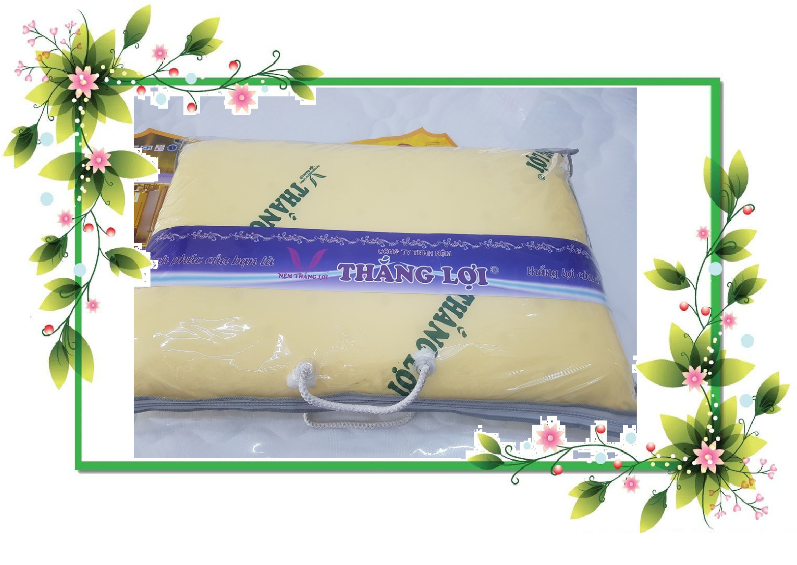 Gối nằm cao su non thắng lợi 40 x 60cm chất lượng cao