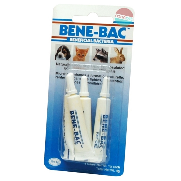 Gel tiêu hóa Bene Bac