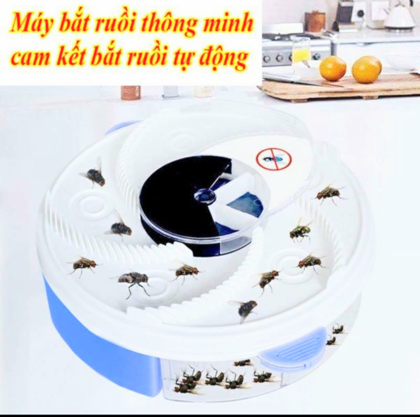 THIẾT BỊ MÁY BẮT RUỒI TỰ ĐỘNG BẮT SẠCH RUỒI