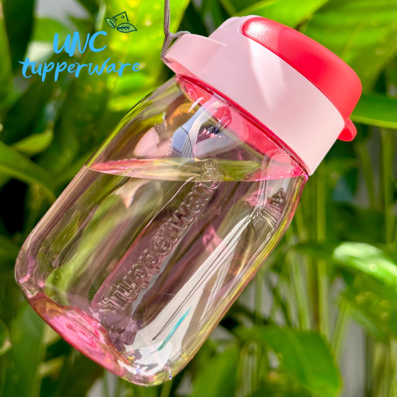 [Nhập RS0822 giảm 30k cho đơn 99k]Bình nước Tupperware Mini Lohas 350ml