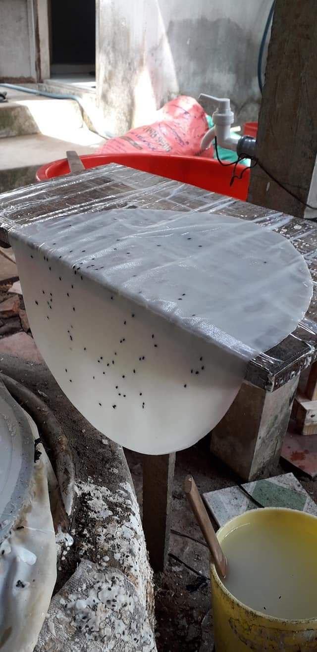 Bánh tráng mỹ lồng 10 cái to