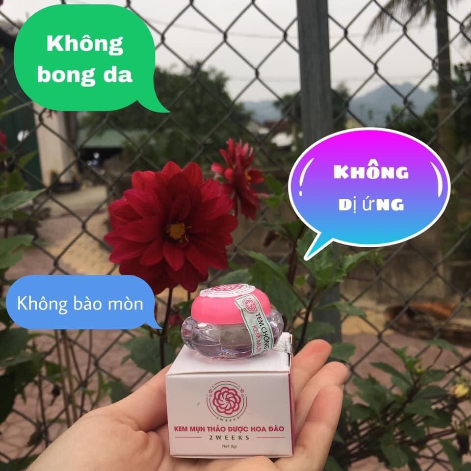 (GIÁ SỈ) Combo 20 Hộp Kem Mụn Thảo Dược Hoa Đào