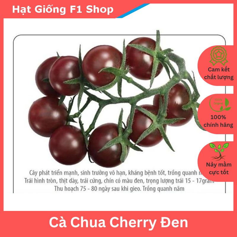 Hạt Giống Cà Chua Cherry Đen Lai F1 Độc Đáo