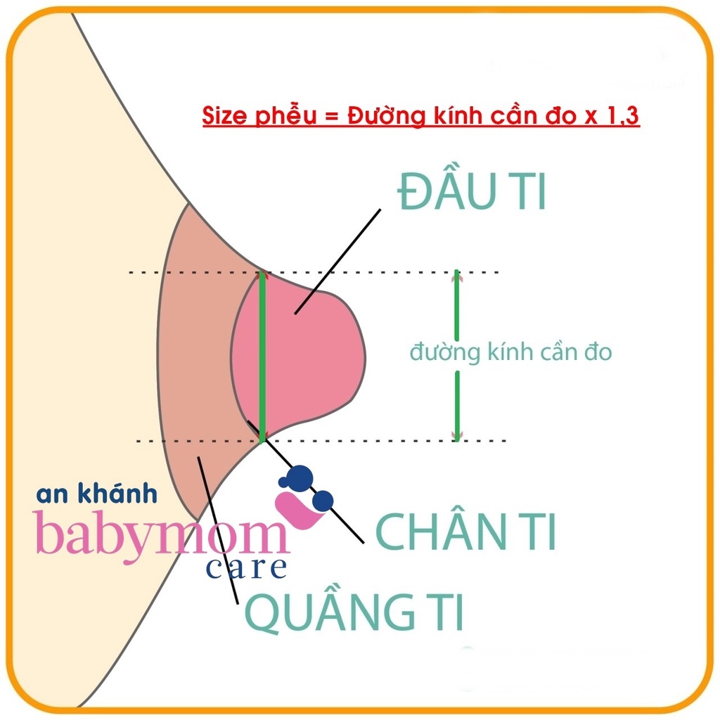 Phễu máy hút sữa đủ size thanh lý - Dùng cho máy medela