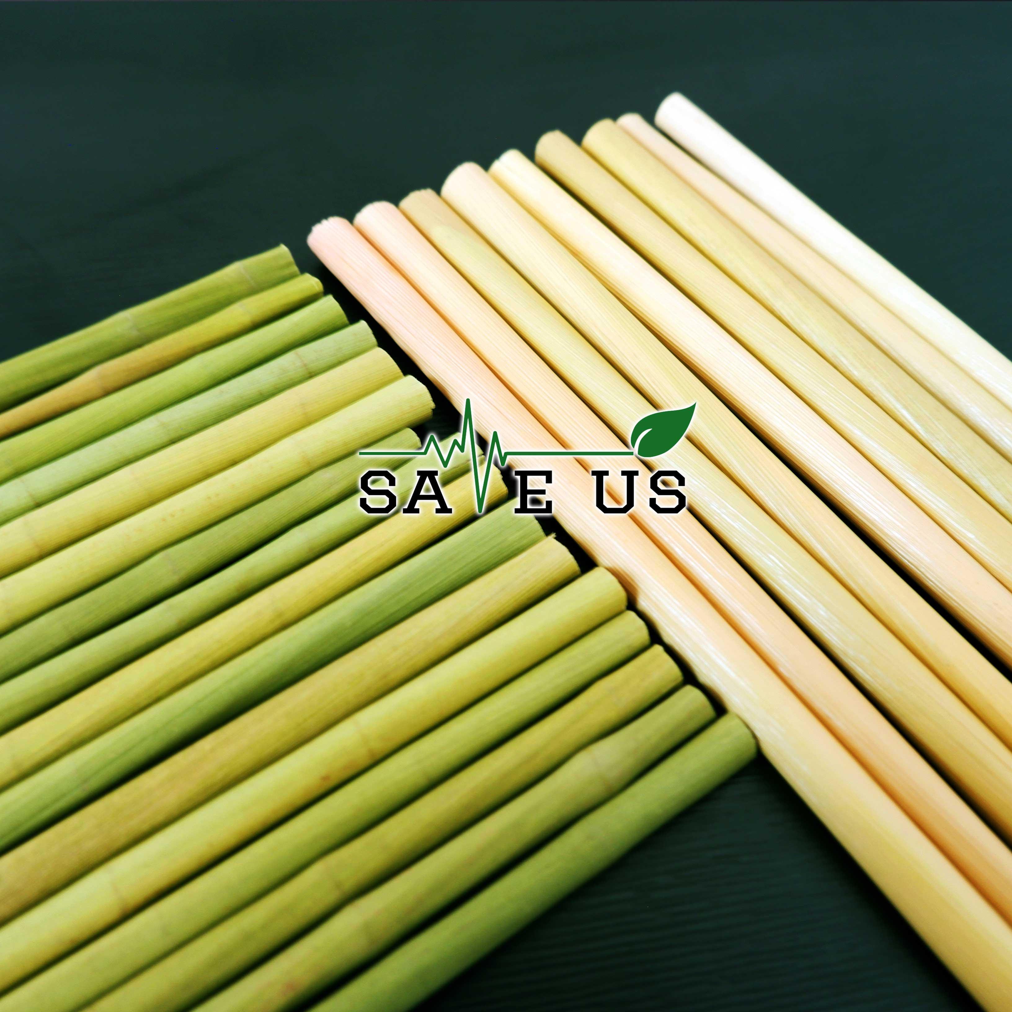 Hộp 100 ống hút cỏ bàng (dạng khô)