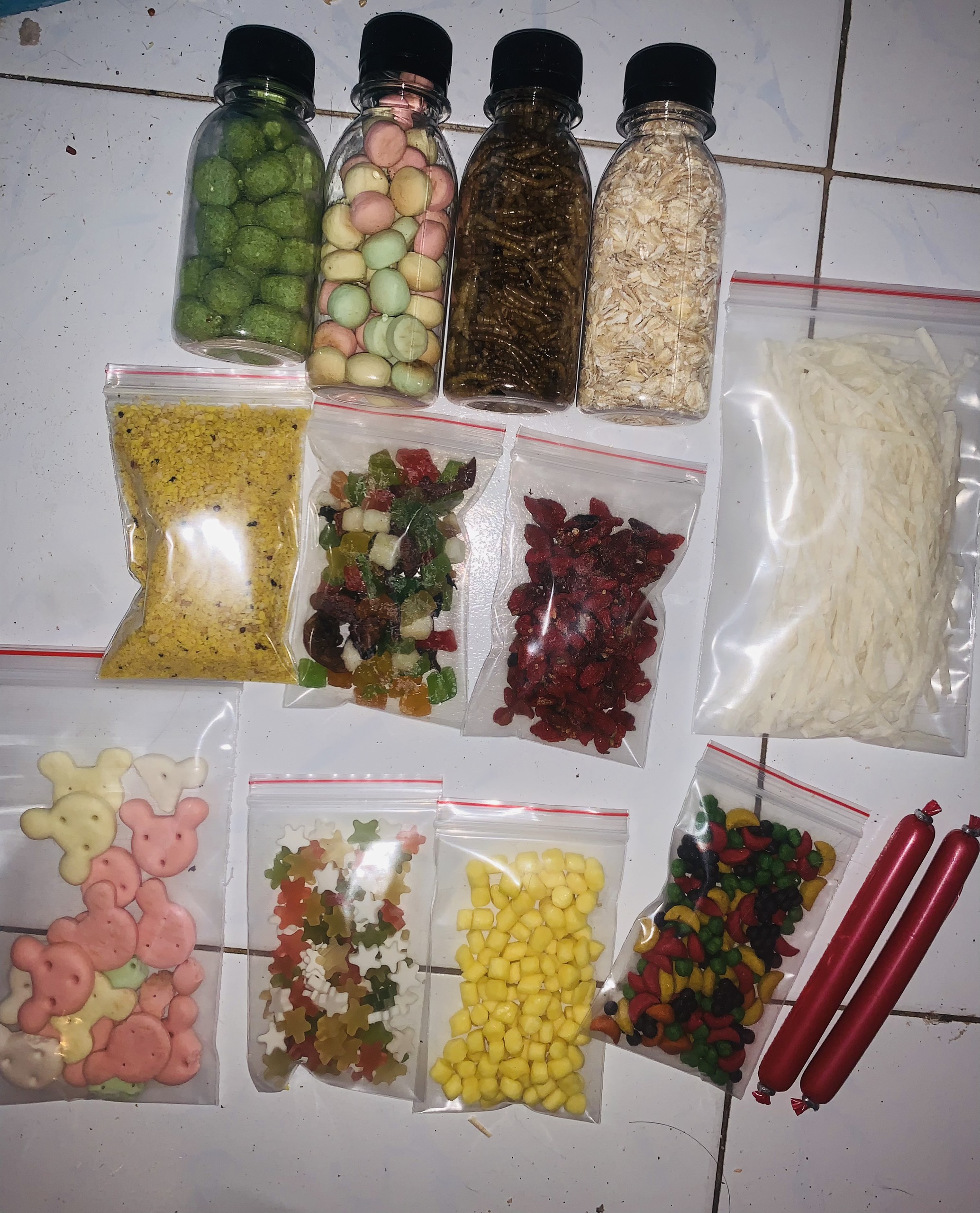 Cá sợi cho hamster
