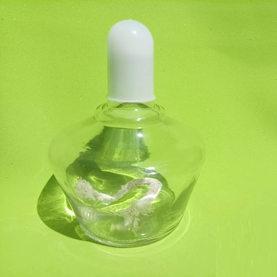 Đèn cồn thủy tinh thể tích từ 250ml