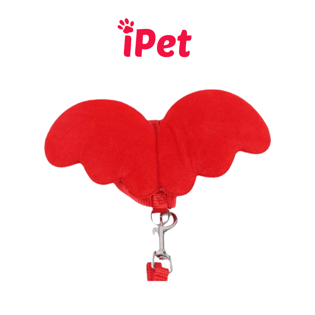 [HCM]Dây Dắt Hình Đôi Cánh Thiên Thần Cho Thú Cưng Chó Mèo Dưới 5kg -  iPet Shop