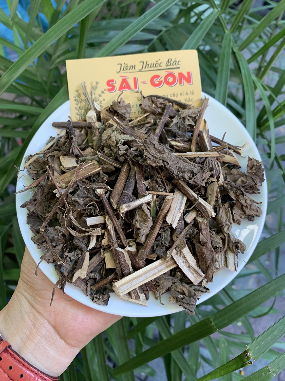 Cây Hương Nhu Khô 500g