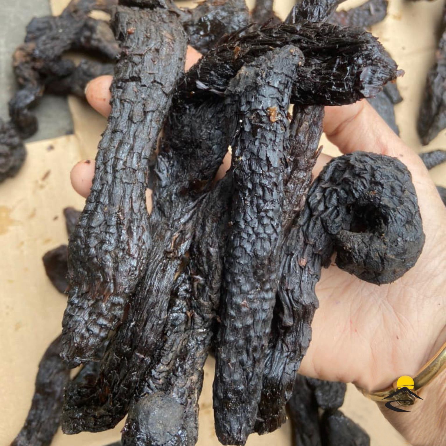 Nhục thung dung khô 100g - Thảo Dược Tấn Phát