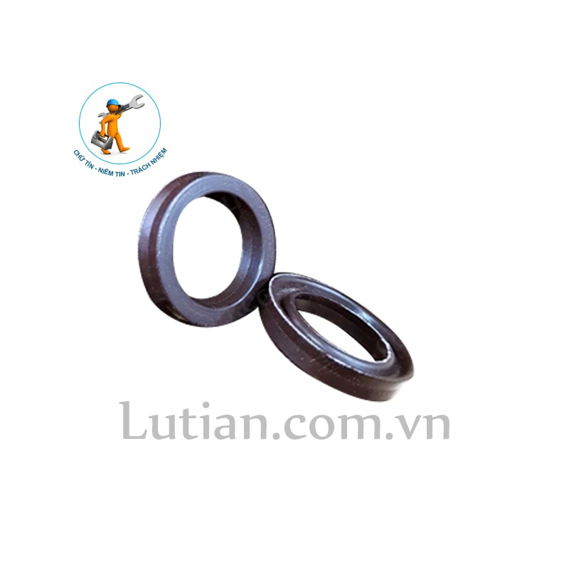 Phớt máy rửa xe cao áp 20/28