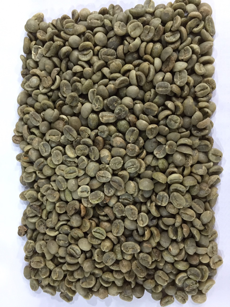 [HCM]Cà phê Nhân Xanh Arabica Cầu Đất Hemera S18 (3kg)