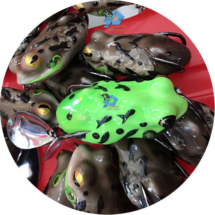 Nhái thái - frog toon V4