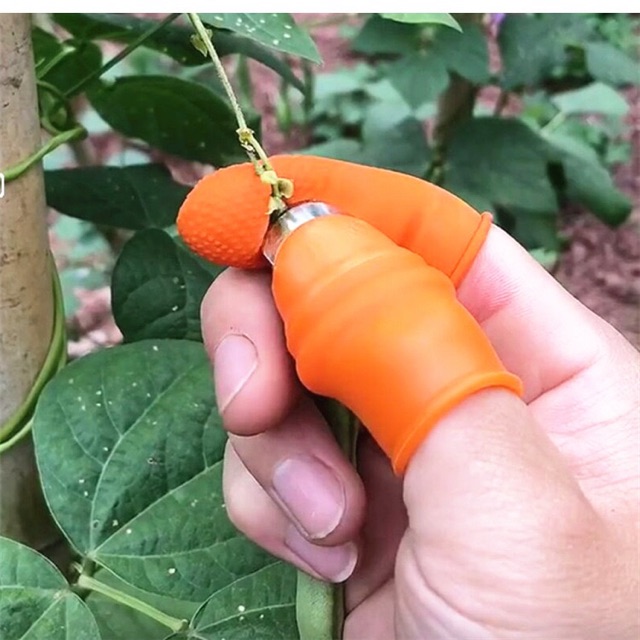 Bộ móng tay ngắt rau, hái rau.
