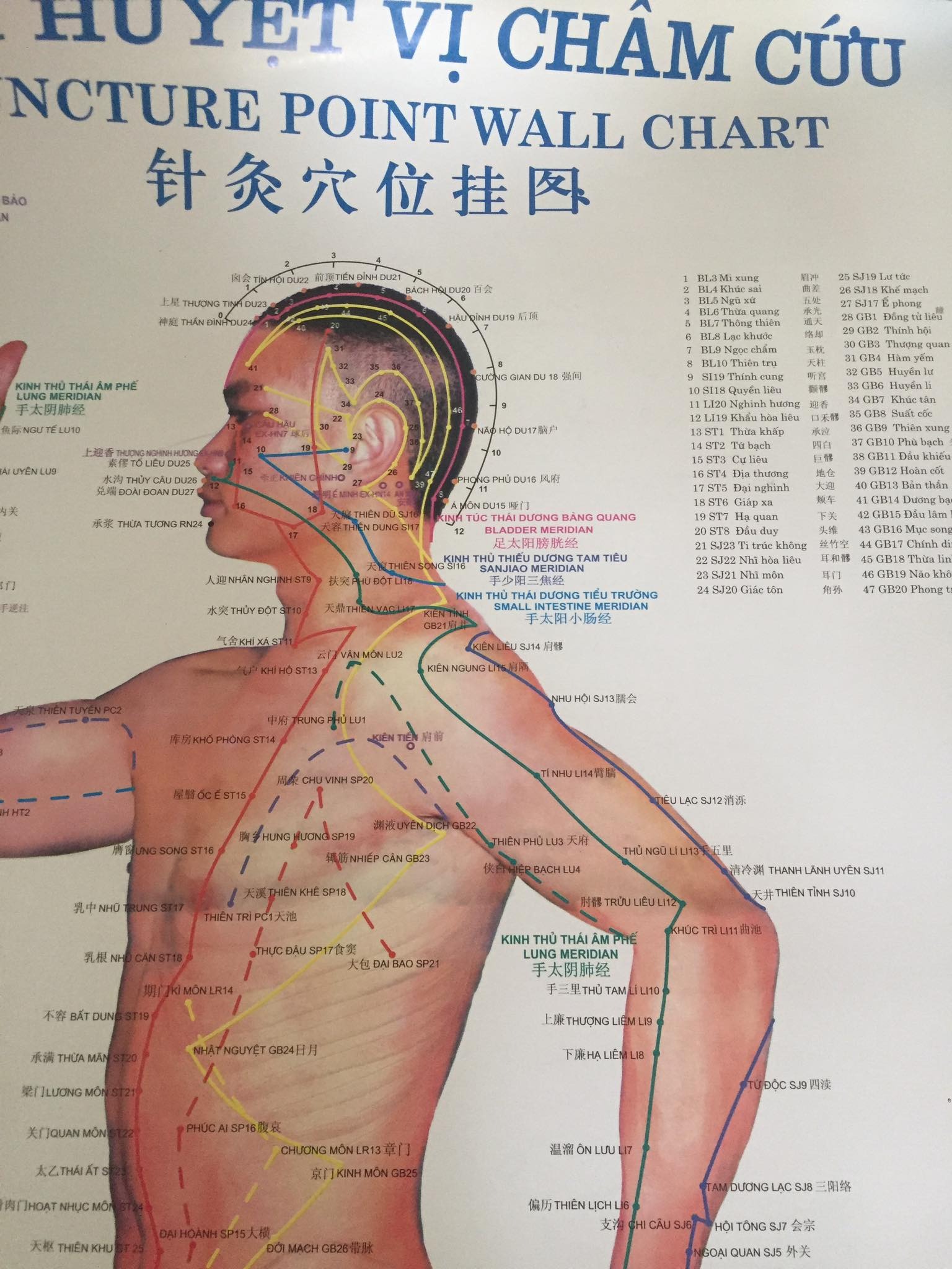 Tranh châm cứu huyệt vị