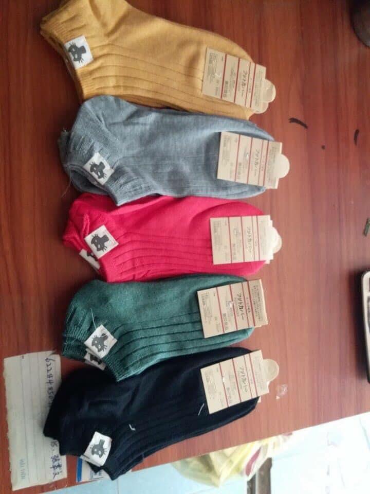 Set 10 đôi tất cổ ngắn Hàn Quốc