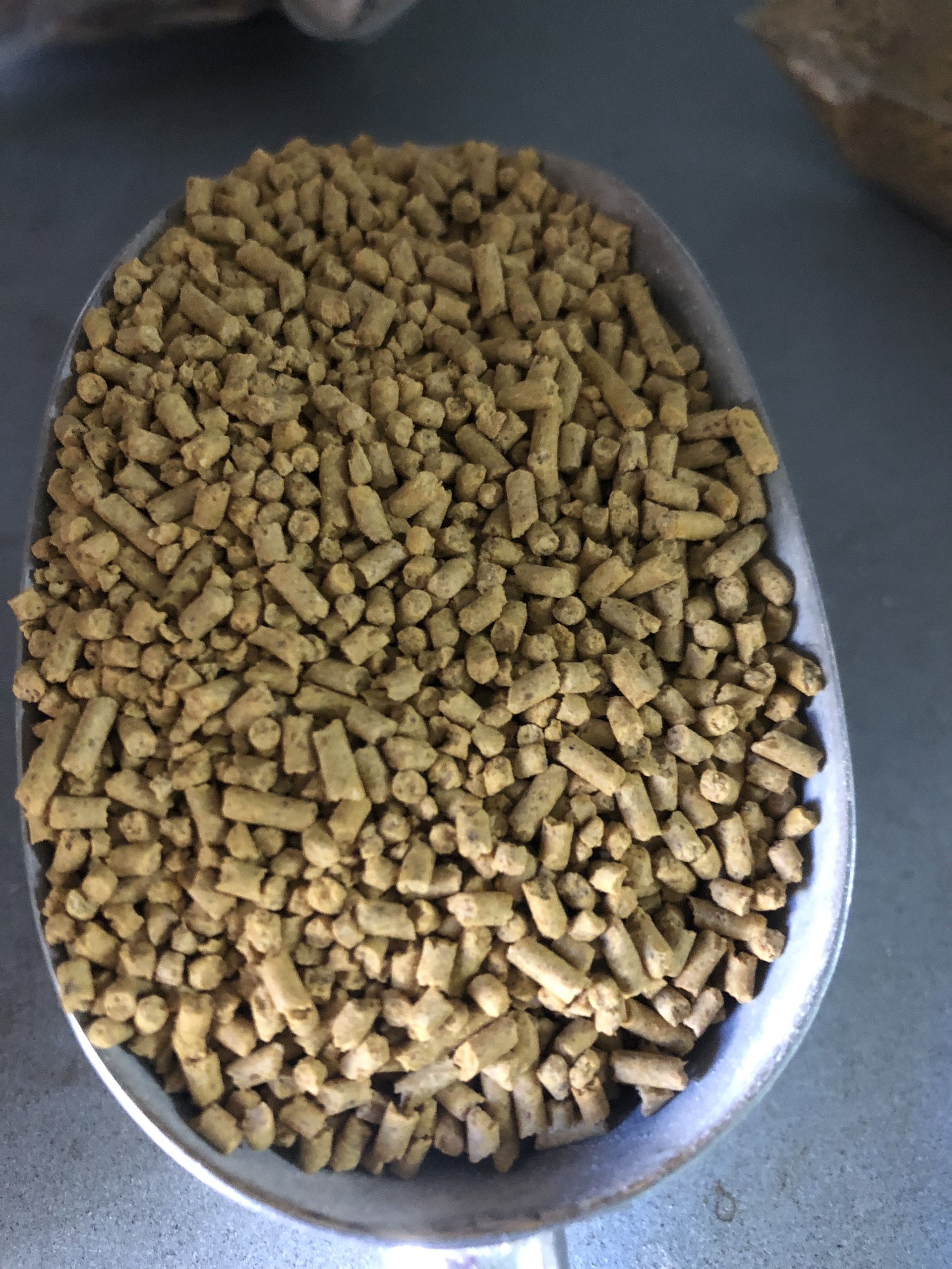 Cám trứng Ba Vì cho chim cảnh 500g