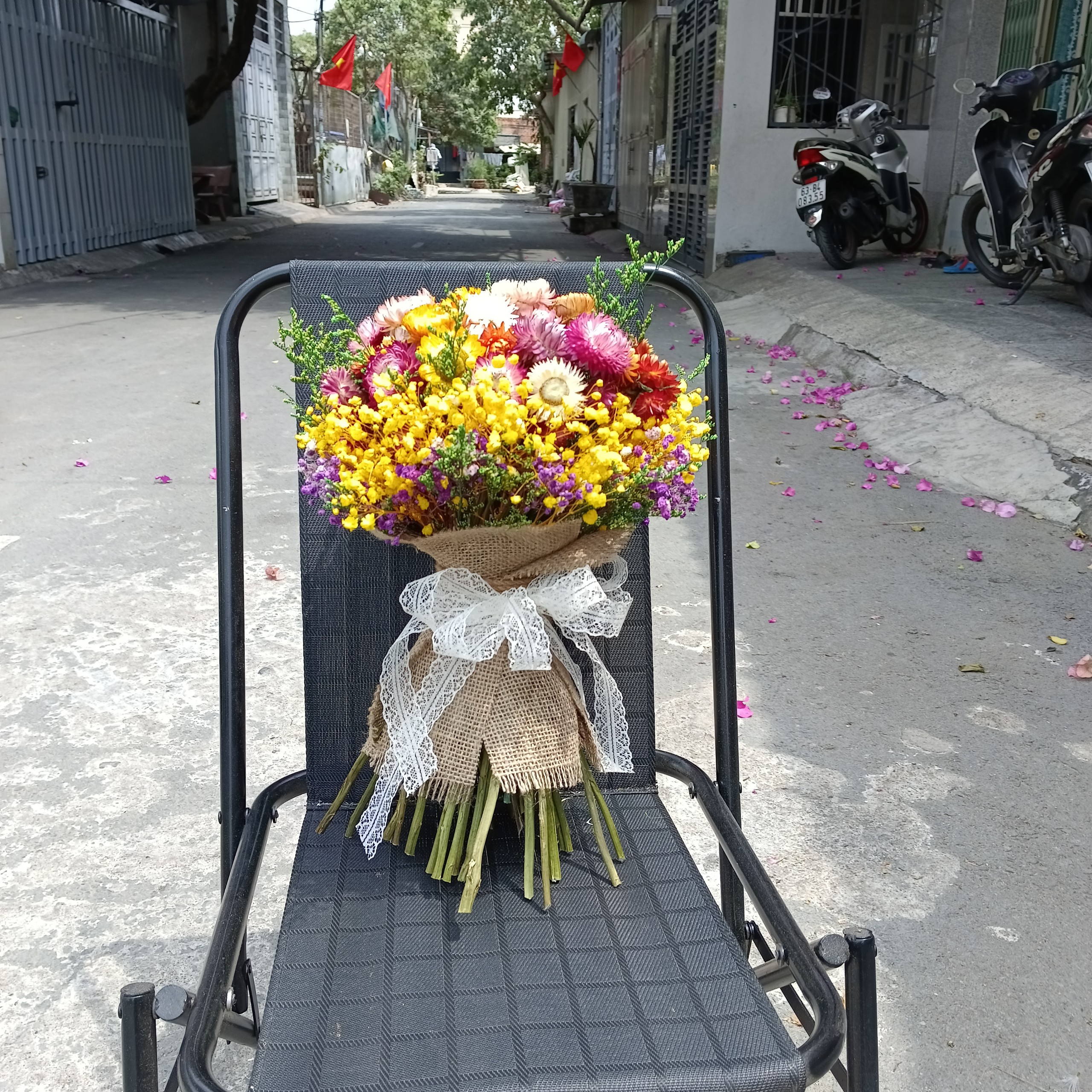 hoa cúc bất tử khô thân tăm tre trang trí