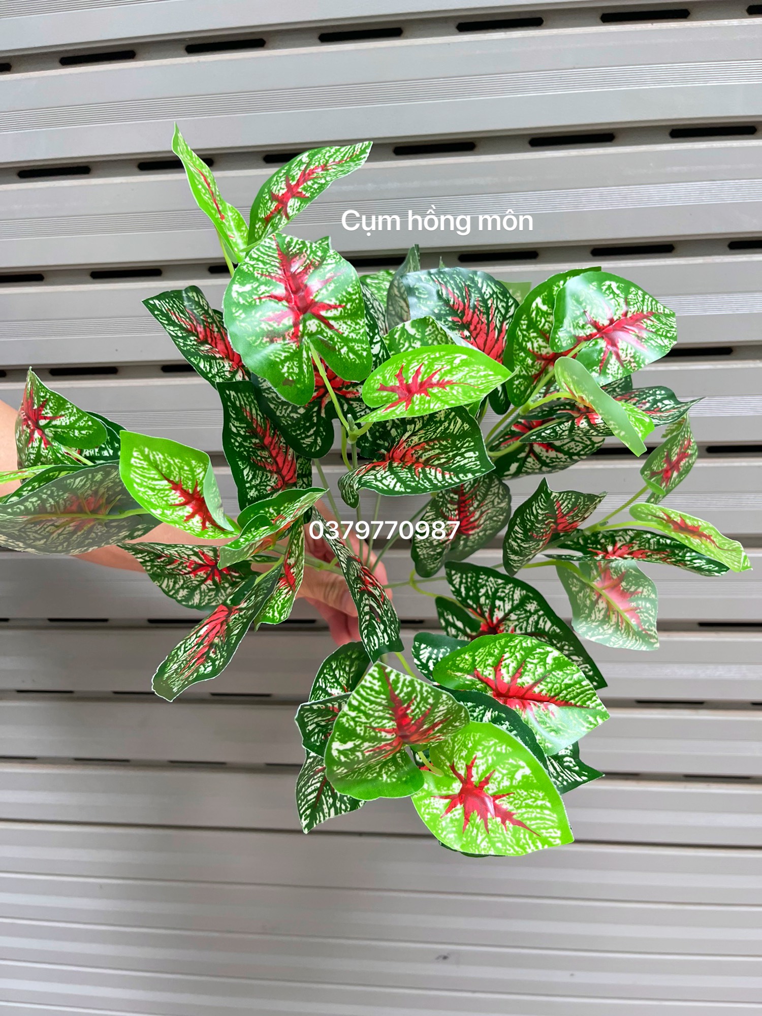 Cụm lá cắm tường cây, Hộp cây trang trí