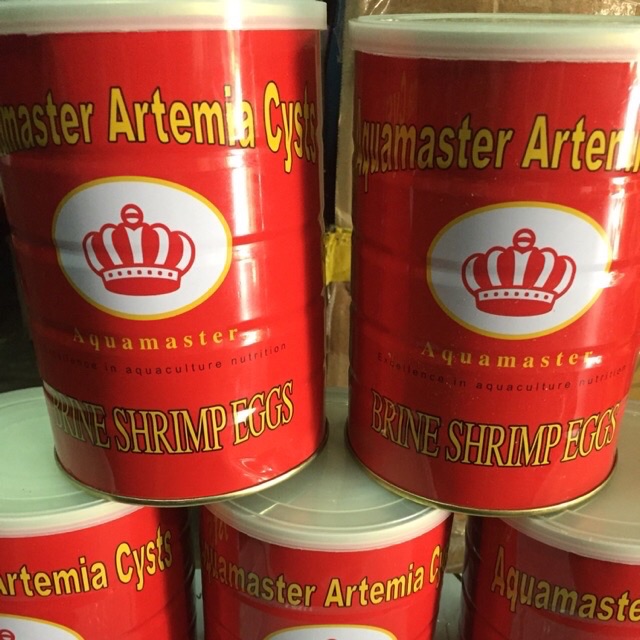 50 gram artermia lon đỏ ấp nở