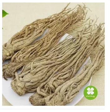 Đương Quy Khô 1KG -DTX190