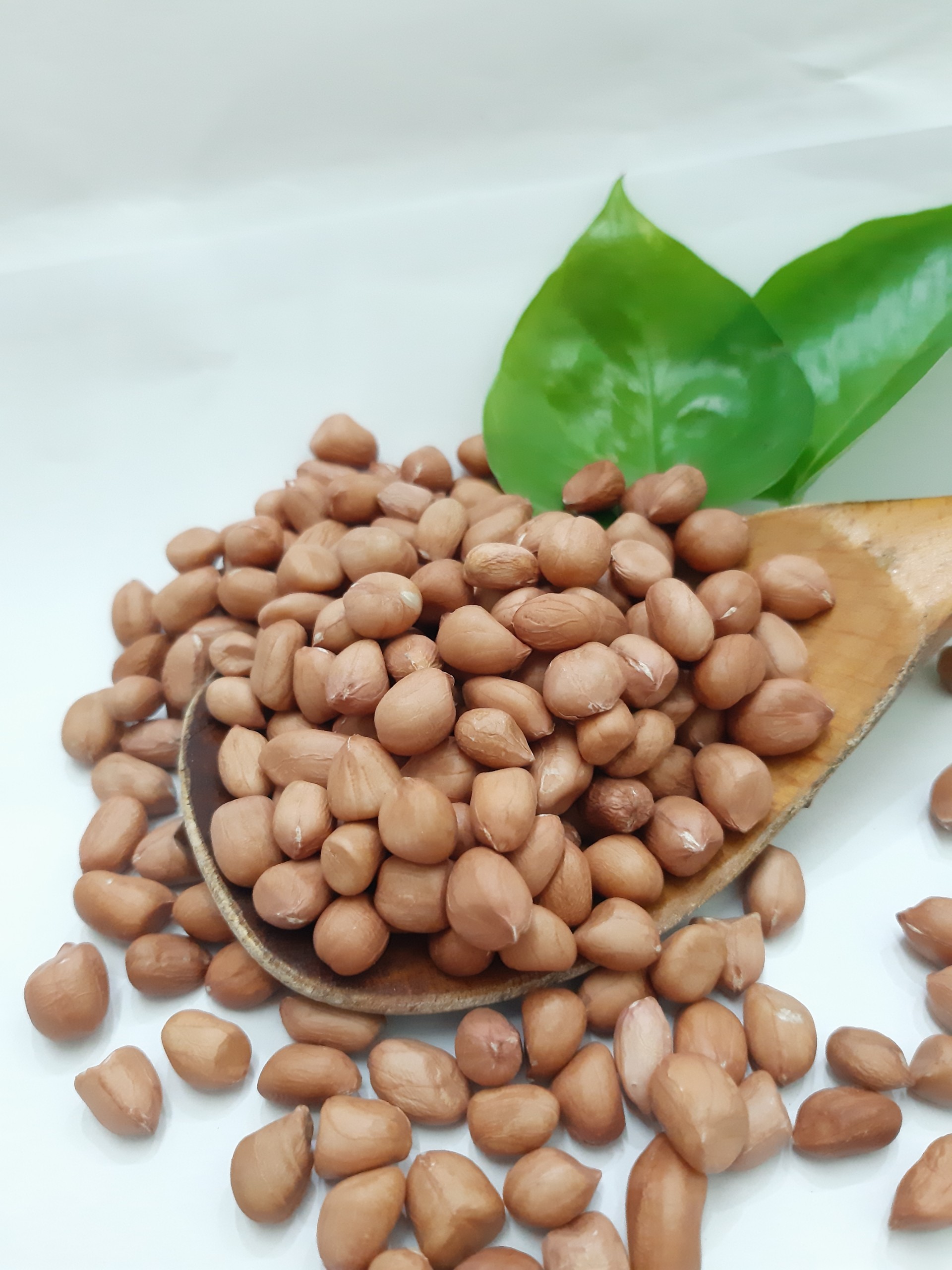 ĐẬU PHỘNG PHÚ MINH TÂM 450G
