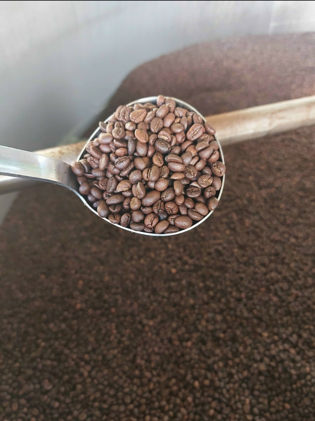 500G CÀ PHÊ ARABICA 100% NGUYÊN CHẤT