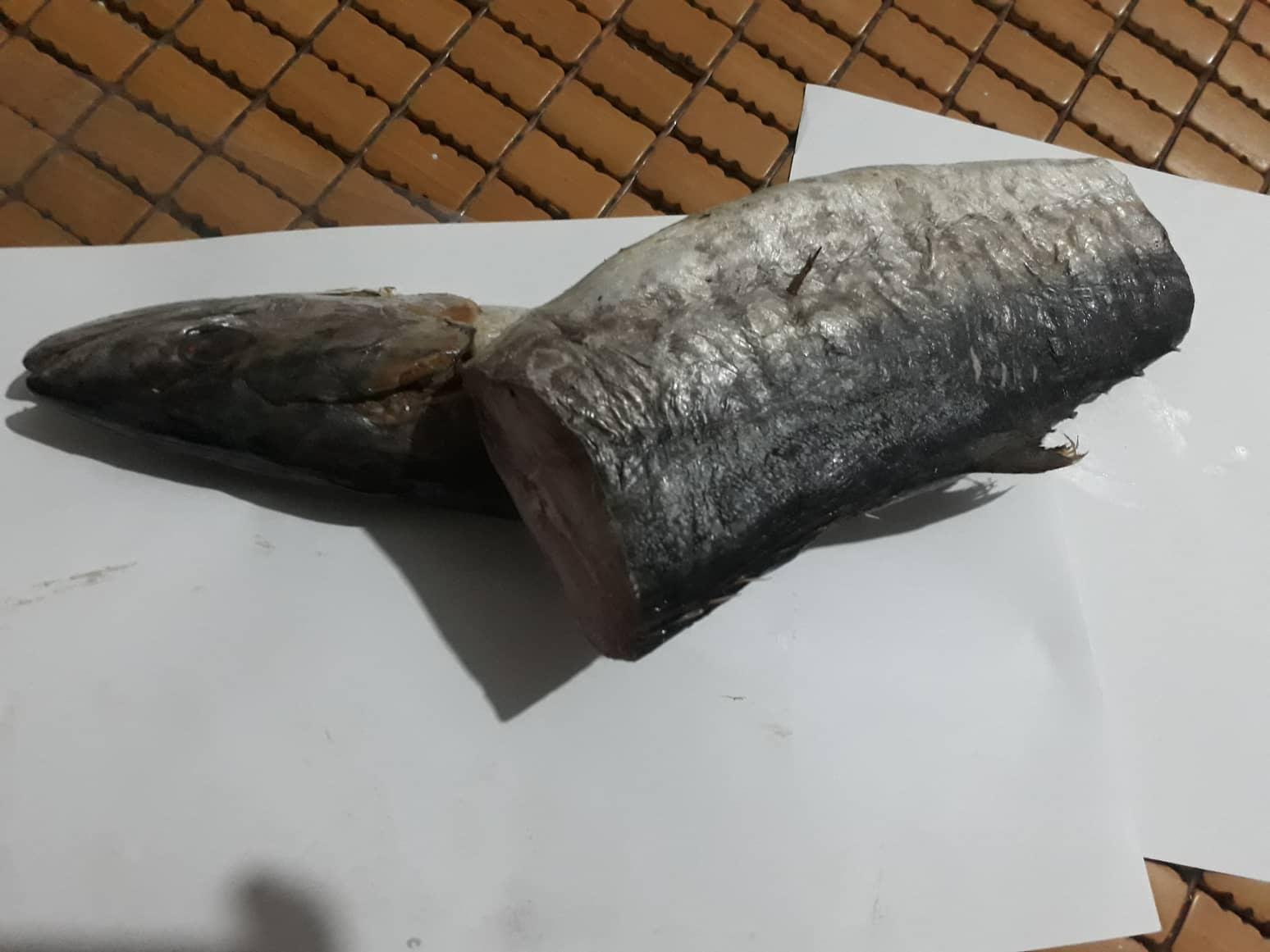 con 1,1 - 1.2 kg mắm cá thu hương (không đầu)
