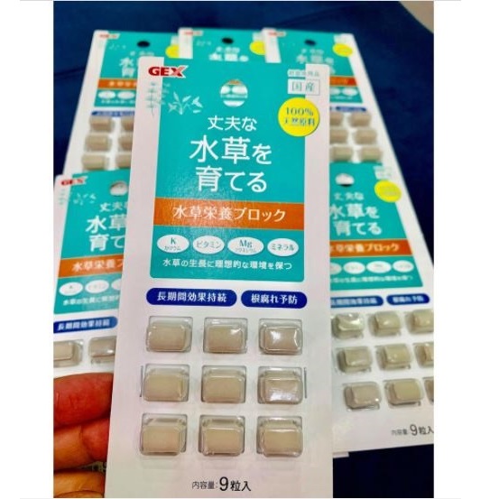 Phân nhét GEX dùng cho Hồ thủy sinh