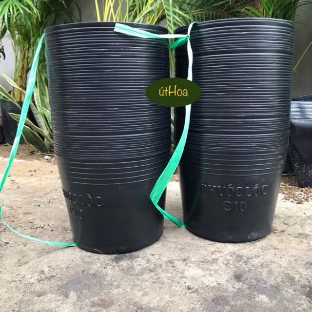 Combo 100 Chậu Nhựa Đen C10 (25x20cm) trồng cây