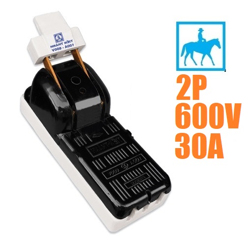[HCM]Cầu Dao Điện Cao Cấp 2 Pha 2P 30A 600V