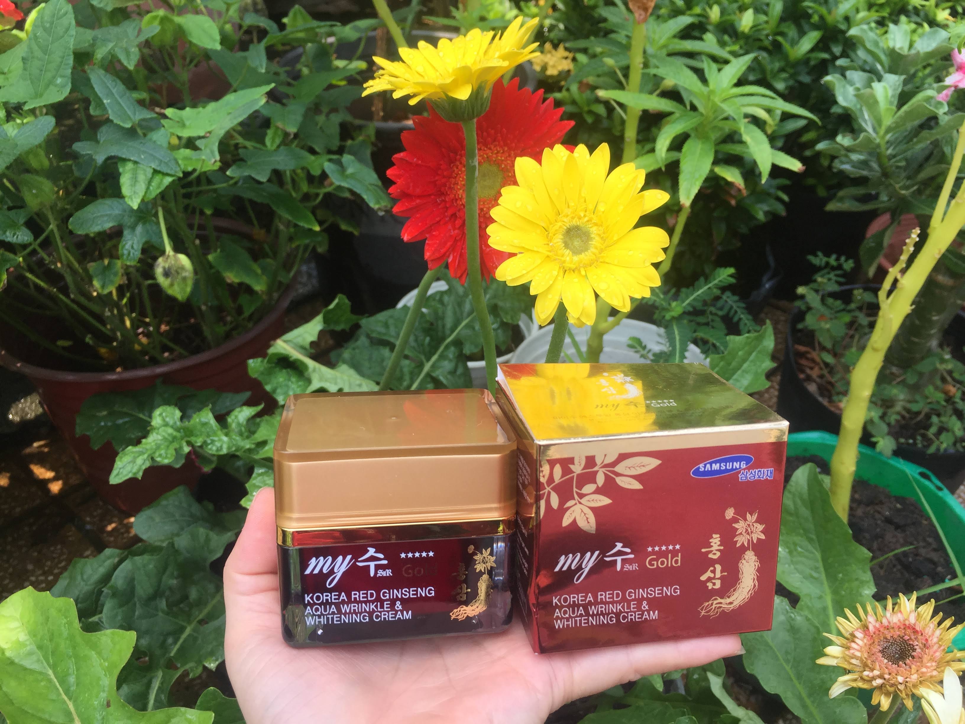 Kem sâm Hàn Quốc My Gold trắng da 50 ml