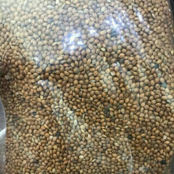 1kg hạt kê