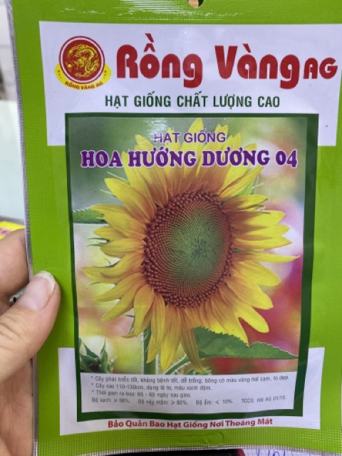 Hạt giống hoa hướng dương 04 (bông to) bông màu vàng hơi cam , cây cao 110-130cm gói 3g giá rẻ
