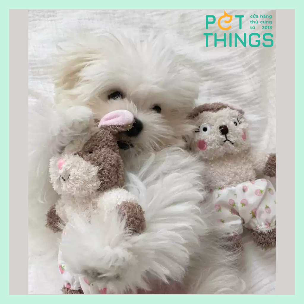 Doggyman Thú Bông - Đồ Chơi Cho Chó