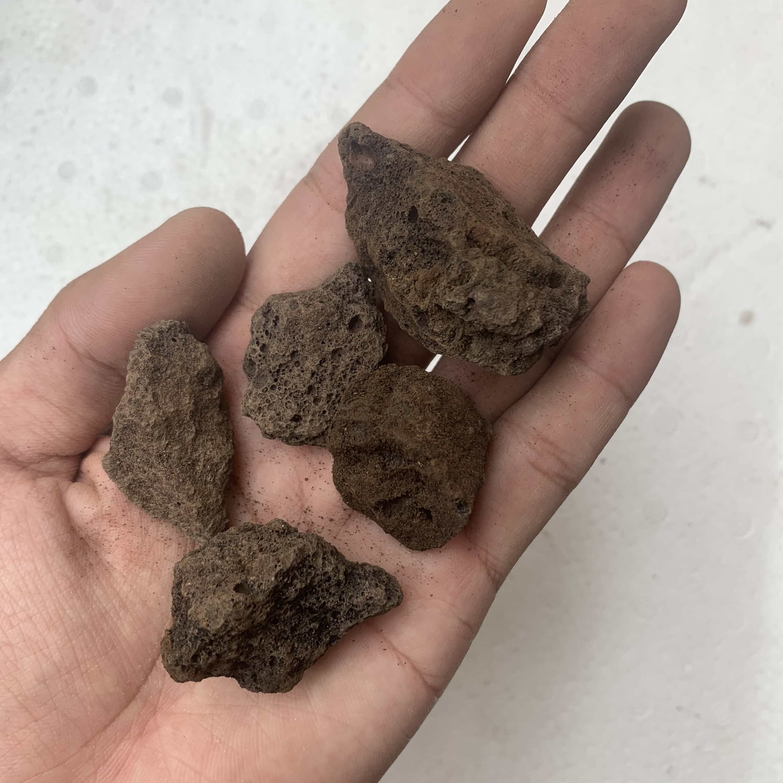 [HCM]NHAM THẠCH LỌC NƯỚC SIZE LỚN HỒ CÁ BỊCH 1KG