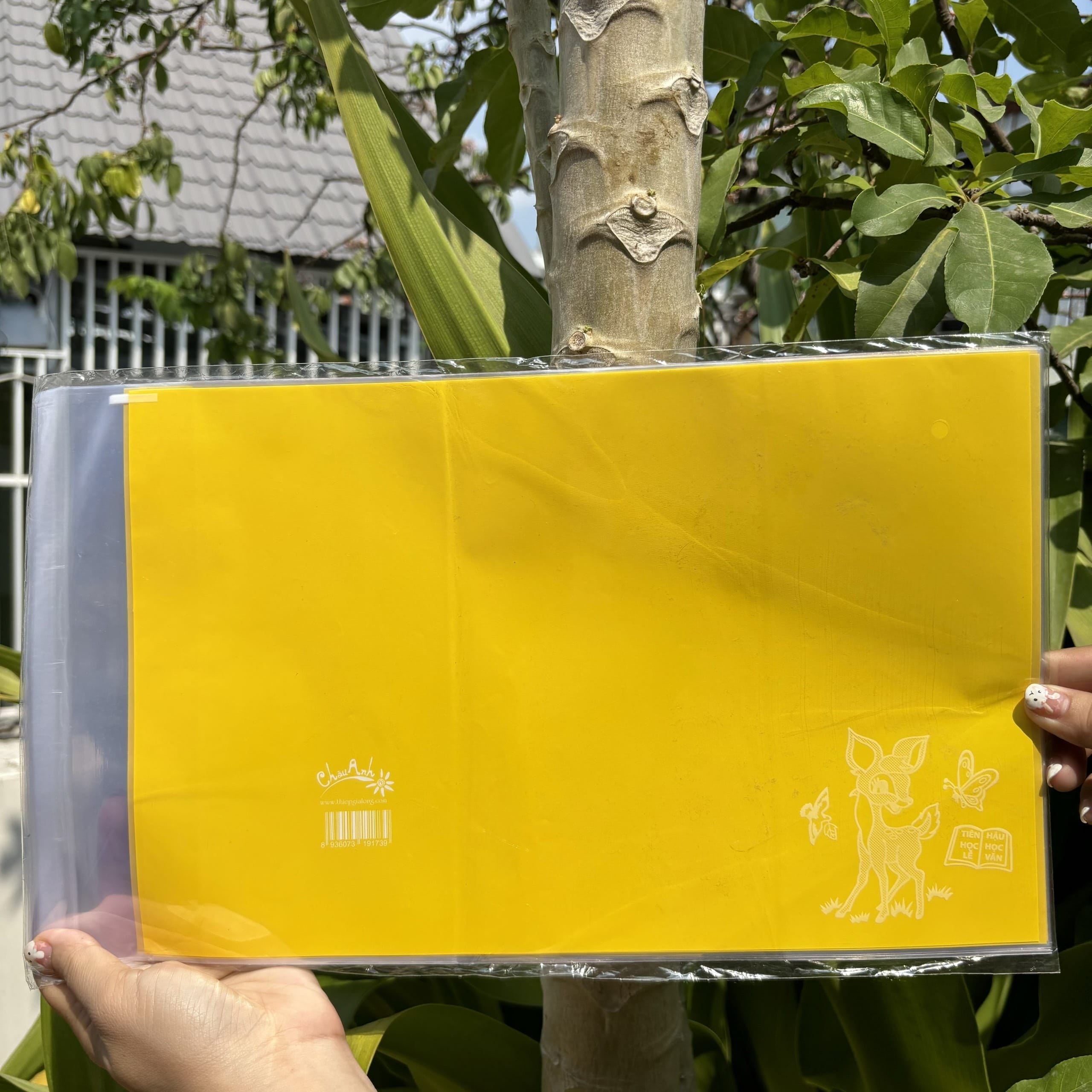 COMBO 10 tờ bao tập nilon giấy màu thủ công (15.5x20.5cm)