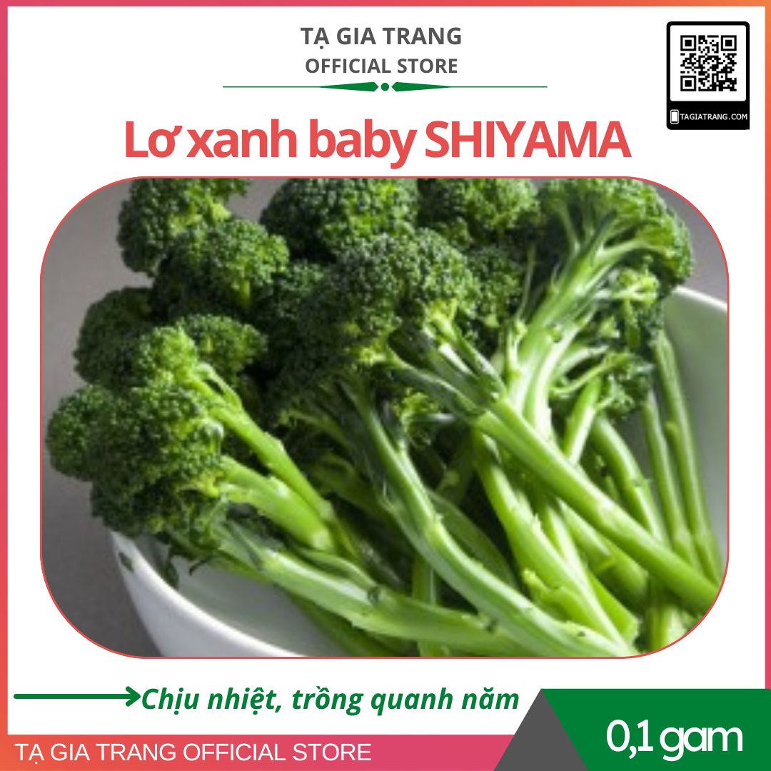 Hạt giống Súp Lơ Baby xanh SHIYAMA chịu nhiệt, ít sâu bệnh, trồng quanh năm