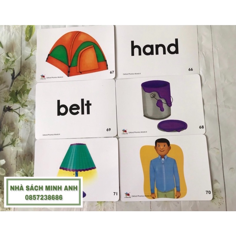 Flashcard OXFORD PHONICS WORLD 4-96 thẻ (khổ A5-cán bóng/ép plastic)