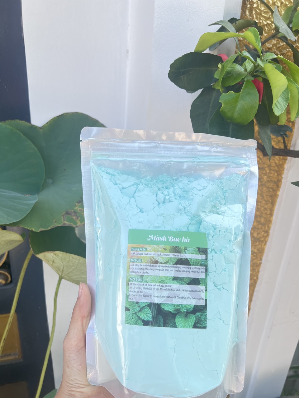 [HCM]Bột Bạc Hà - Bột đắp mặt nạ bạc hà cao cấp / gói 1 kg