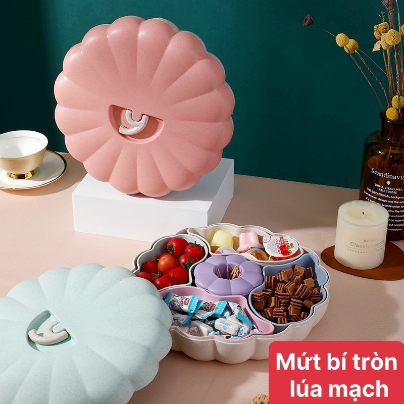 [ TẾT TẾT ] KHAY MỨT LÚA MẠCH HÌNH BÍ DÀI, ĐỰNG MỨT, KẸO . ĐTLV