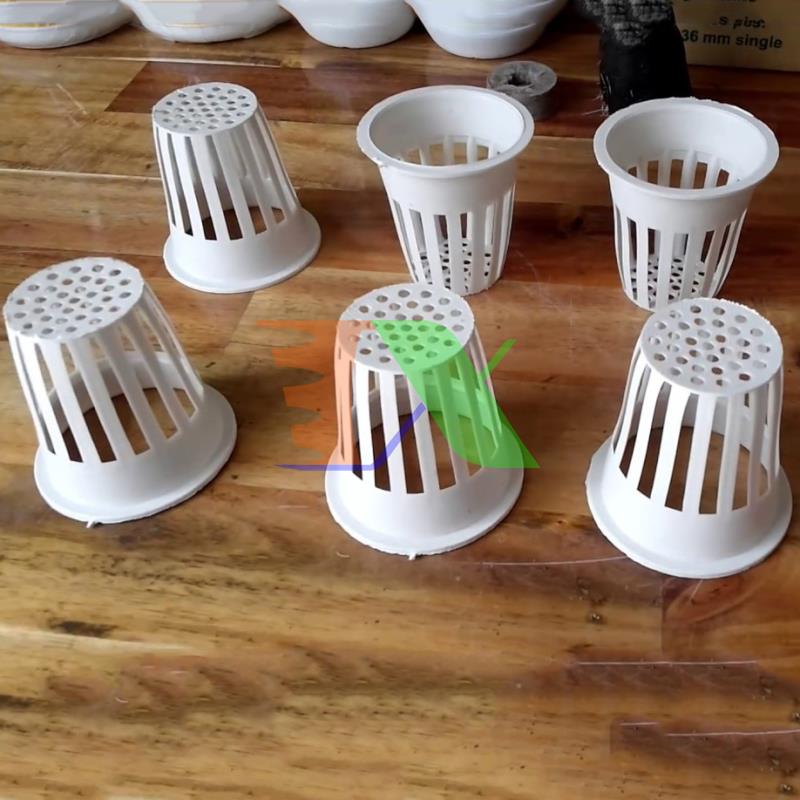 Set 50 gabion hydroponic growing D45 mm, gabion plastic hydroponic, Cup hydroponic dedicated, cup hydroponic growing