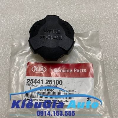 Nắp bình nước phụ Hyundai i20
