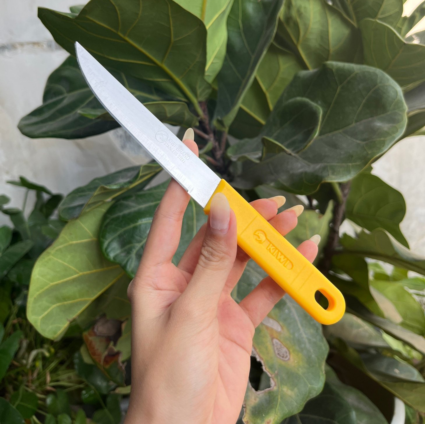 Dao thái lan cán vàng kiwi, đầu nhọn siêu bén, dao gọt trái trái cây rau củ quả tiện lợi dùng cho nhà bếp Dieulinhshop