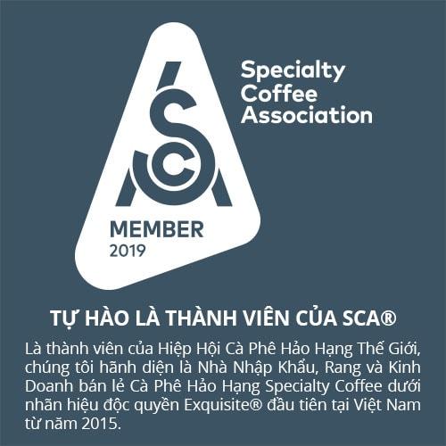 660g Cà Phê Bột Thunder No.3 - 1864 CAFÉ