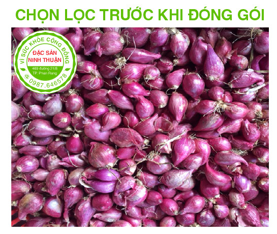 Hành Tím Phan Rang 2kg (Đặc Sản Ninh Thuận)