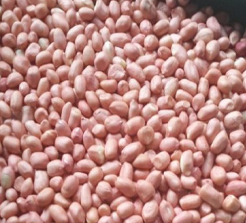 đậu phộng vườn 1kg