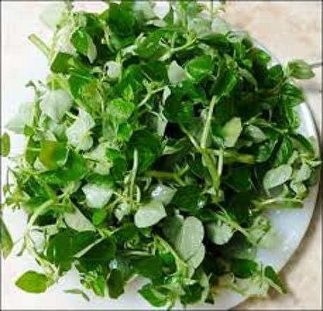 Hạt giống rau càng cua -gói 0,5 gram(tặng kèm phân bón)