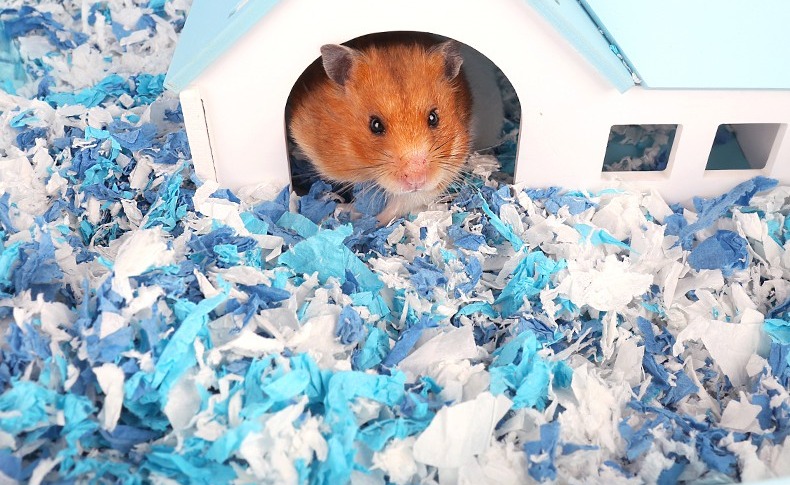 GIẤY LÓT CHUỒNG VỆ SINH HAMSTER
